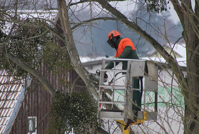 Emergency tree service worker in a crane doing work after a storm