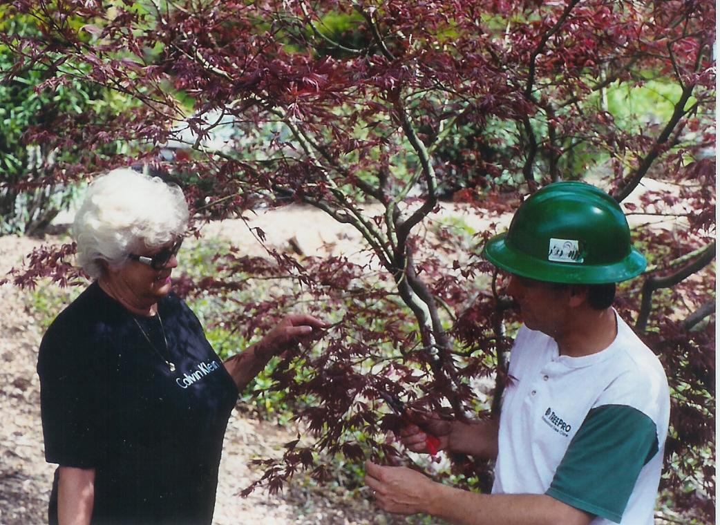 An arborist planting a tree for a woman in Carmel IN