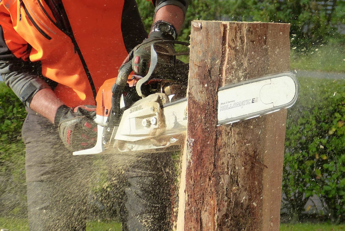 Arborist cutting vertically down through a log